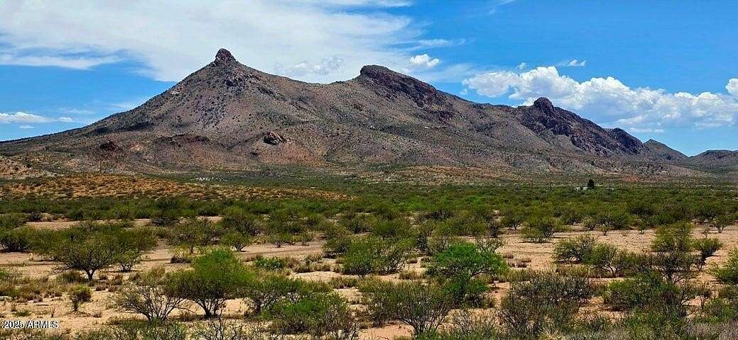 38.8 Acres of Recreational & Residential Land for Sale in Douglas, Arizona