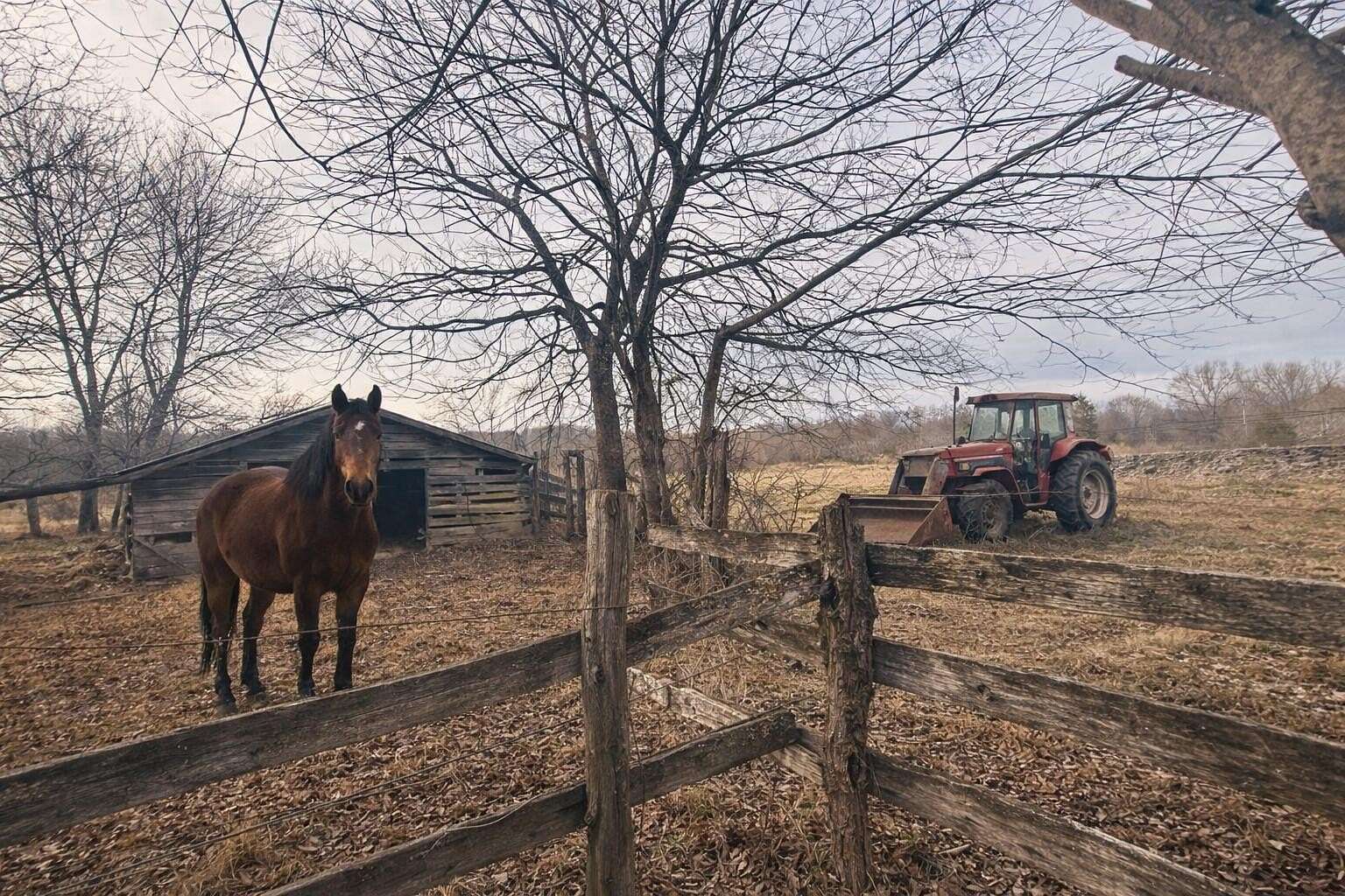31 Acres of Agricultural Land for Sale in Flat Rock, Alabama