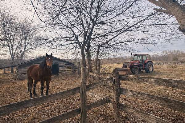31 Acres of Agricultural Land for Sale in Flat Rock, Alabama