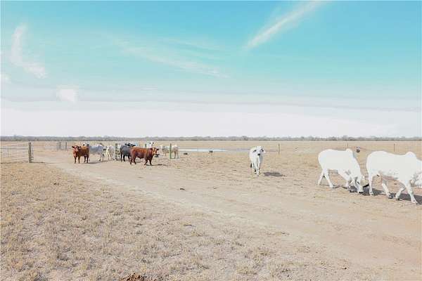 88.8 Acres of Land for Sale in Alice, Texas