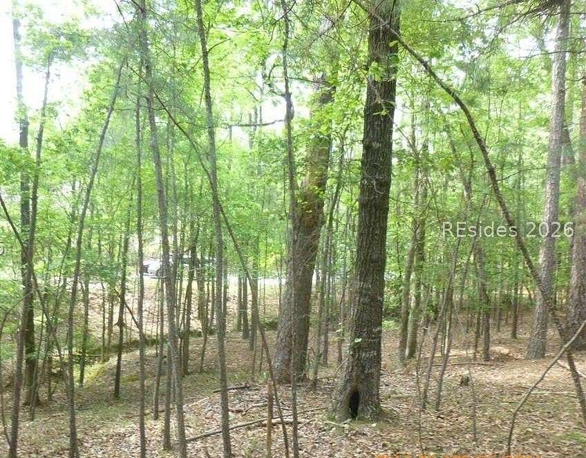 Land for Sale in McCormick, South Carolina