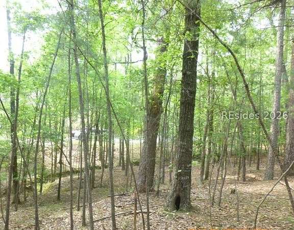 Residential Land for Sale in McCormick, South Carolina