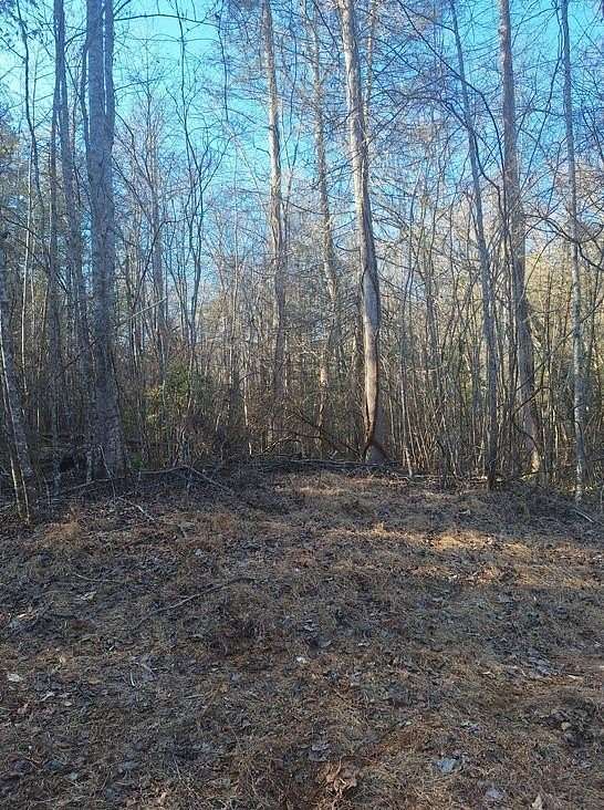 3.39 Acres of Residential Land for Sale in Blue Ridge, Georgia