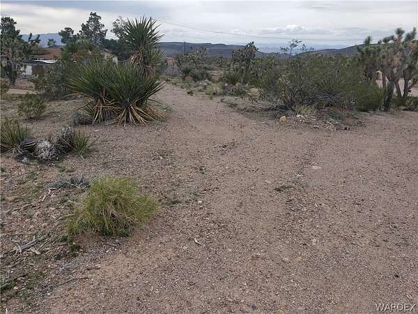 1 Acre of Residential Land for Sale in White Hills, Arizona