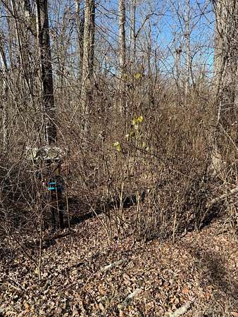 0.18 Acres of Residential Land for Sale in Crossville, Tennessee