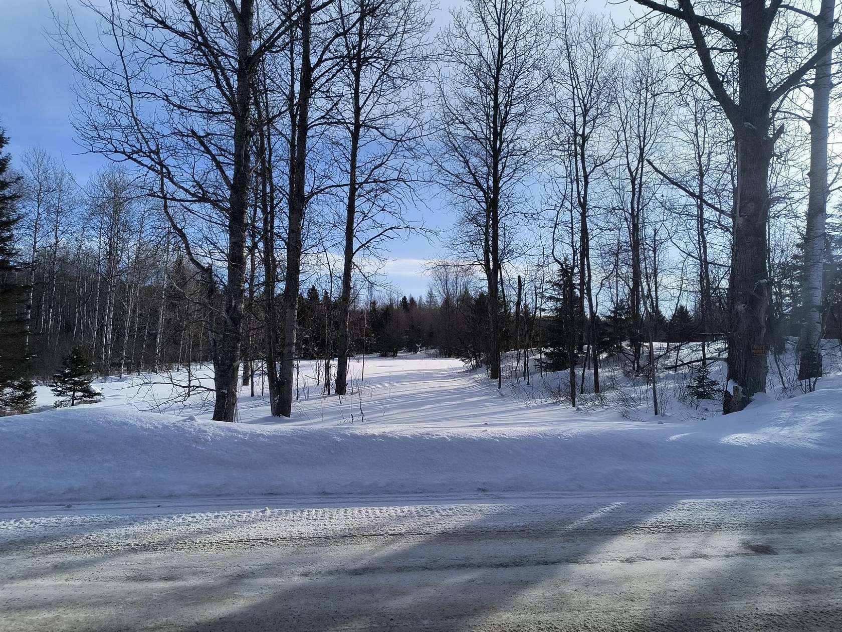 40 Acres of Recreational Land for Sale in Iron River, Michigan