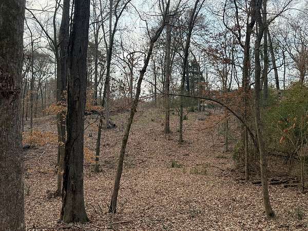 1.15 Acres of Land for Sale in Shelbyville, Texas