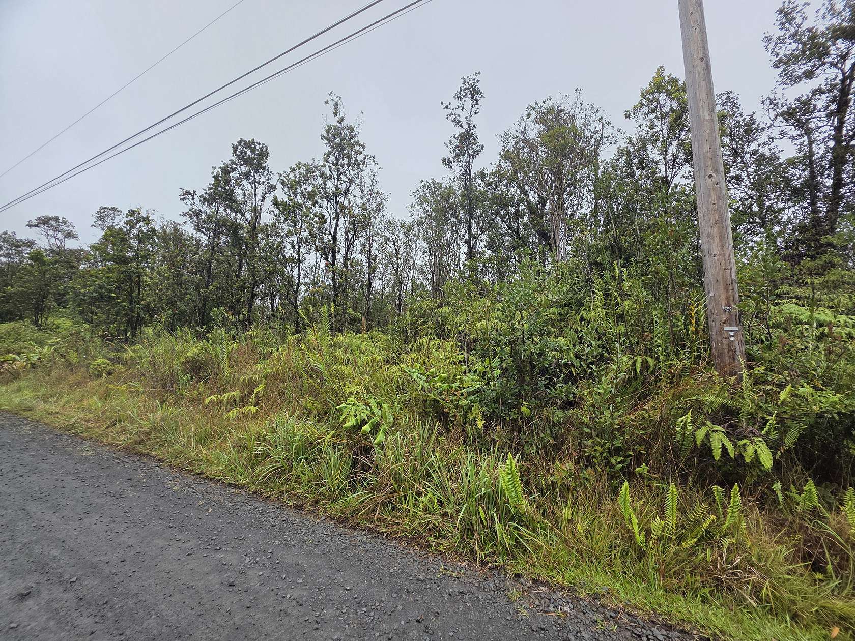 3 Acres of Residential Land for Sale in Volcano, Hawaii