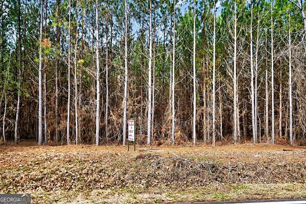 16.7 Acres of Land for Sale in Eatonton, Georgia