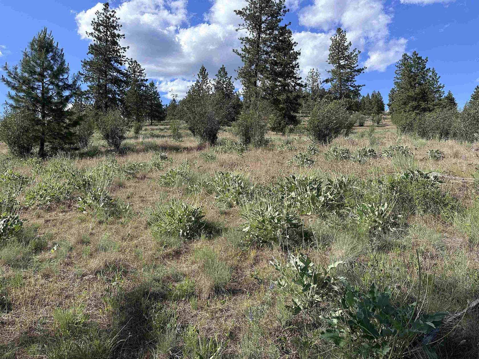 23.4 Acres of Recreational & Residential Land for Sale in Deer Park, Washington