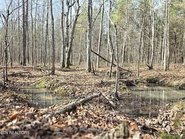 14.8 Acres of Recreational & Residential Land for Sale in Sunbright, Tennessee