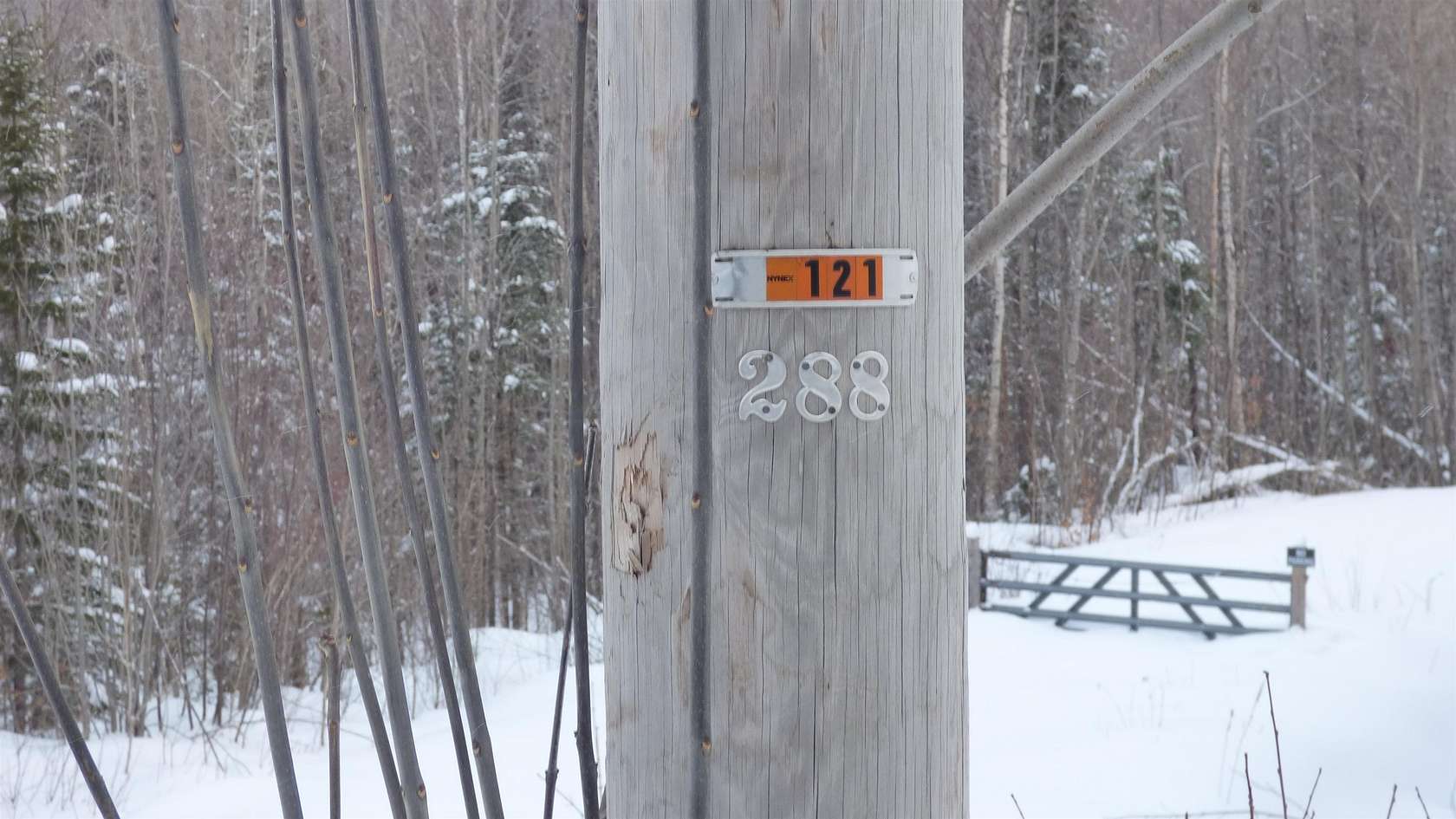 186 Acres of Recreational & Residential Land for Sale in Wheelock, Vermont