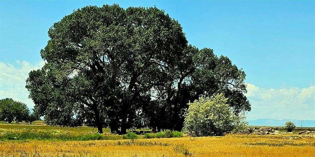 40 Acres of Recreational & Residential Land for Sale in Powell, Wyoming