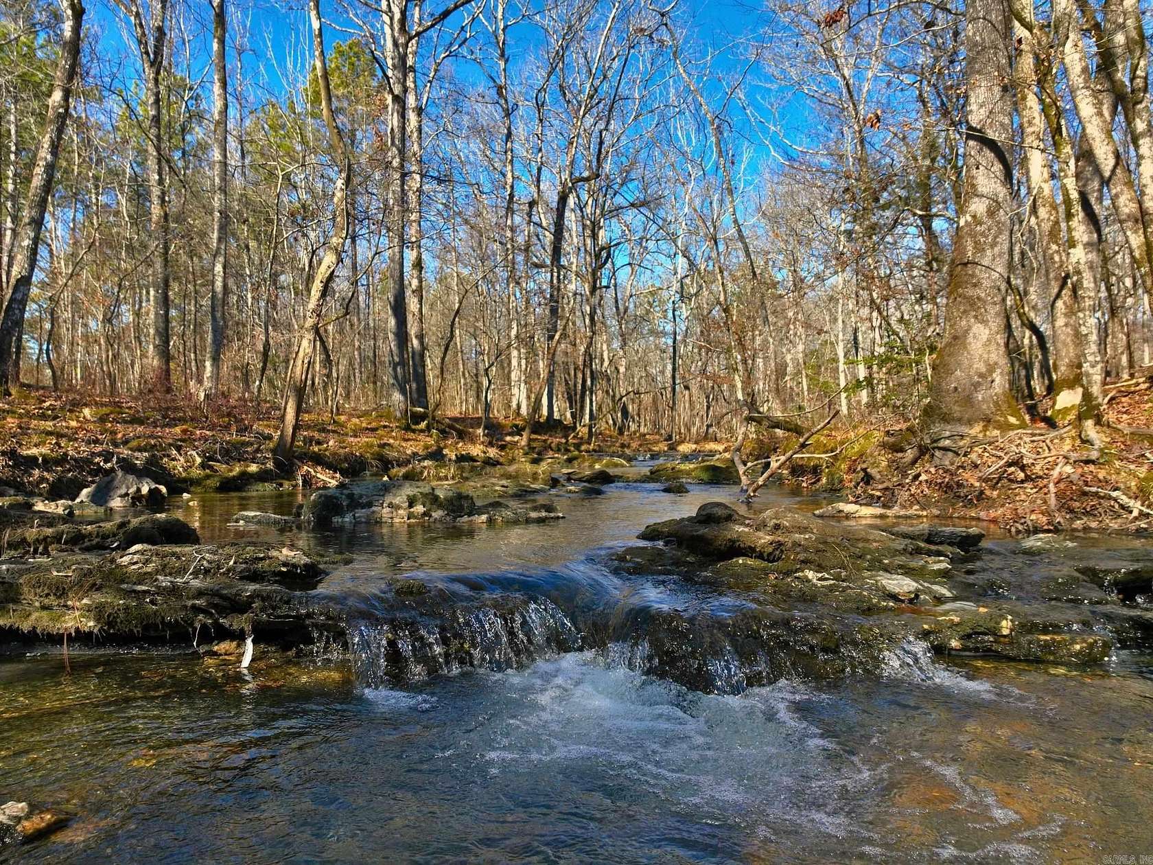 59 Acres of Agricultural Land for Sale in Jessieville, Arkansas