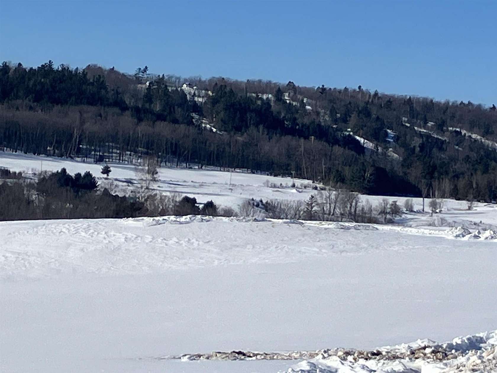 27.3 Acres of Agricultural & Residential Land for Sale in Vulcan, Michigan