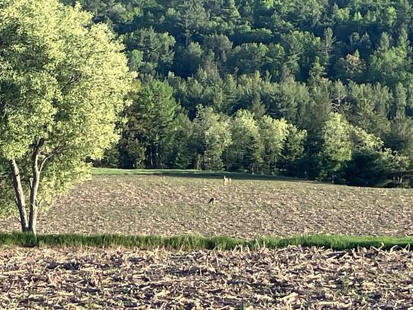 27.3 Acres of Agricultural & Residential Land for Sale in Vulcan, Michigan