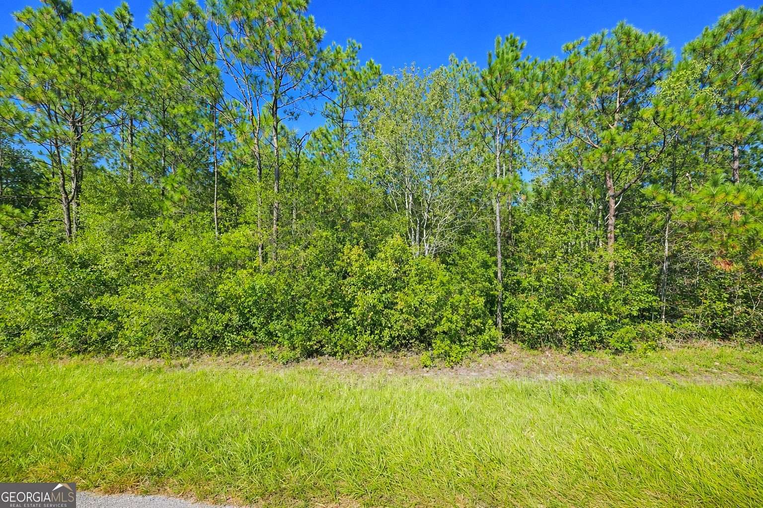 7 Acres of Residential Land for Sale in Nashville, Georgia