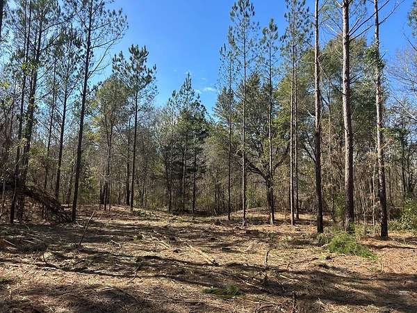 20 Acres of Land for Sale in Cottonwood, Alabama