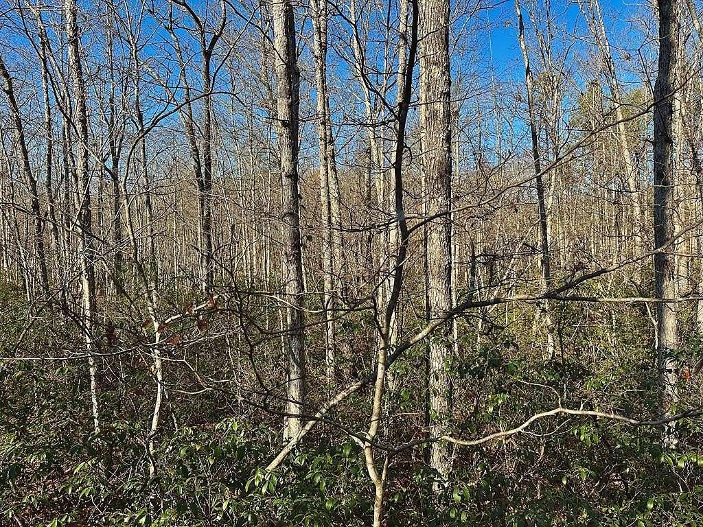 5.9 Acres of Land for Sale in Wilder, Tennessee
