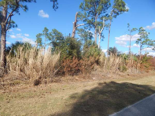 1 Acre of Residential Land for Sale in Clewiston, Florida