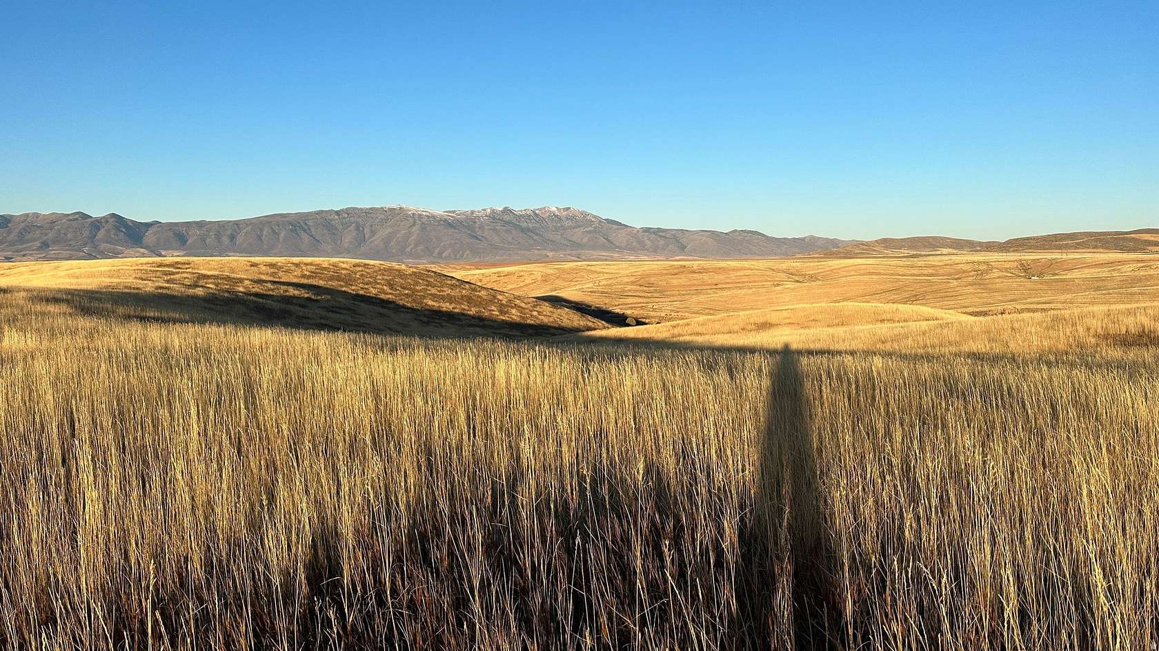 158 Acres of Land for Sale in Preston, Idaho