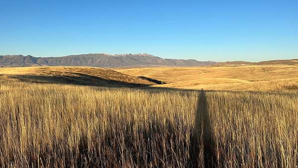 158 Acres of Land for Sale in Preston, Idaho