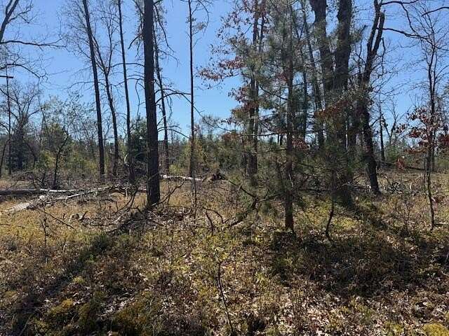 0.23 Acres of Land for Sale in Idlewild, Michigan