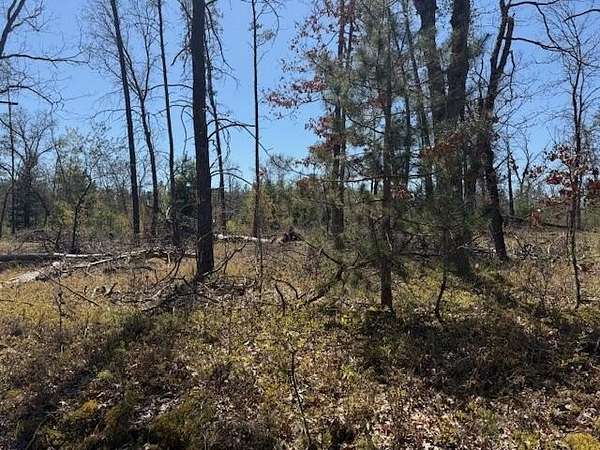 0.23 Acres of Land for Sale in Idlewild, Michigan