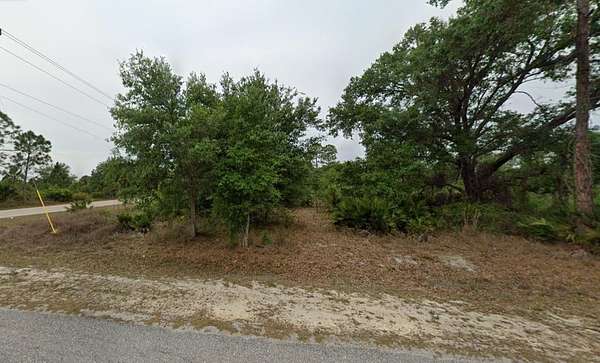 0.25 Acres of Residential Land for Sale in Lehigh Acres, Florida
