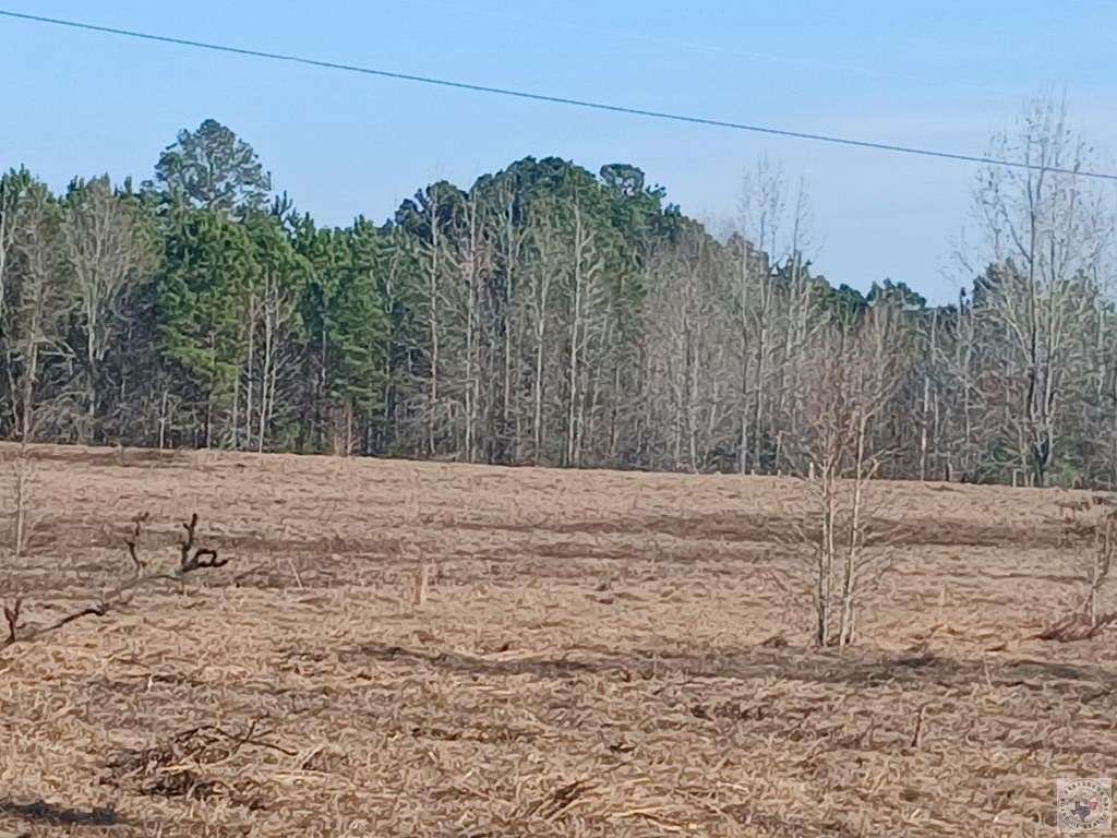 19.5 Acres of Land for Sale in Texarkana, Arkansas