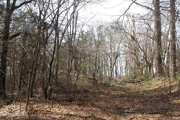 24 Acres of Recreational & Residential Land for Sale in Waterford, Mississippi