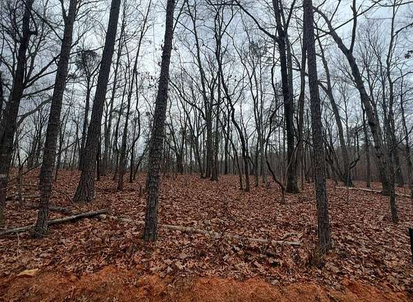 0.4 Acres of Land for Sale in Waverly Hall, Georgia