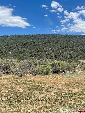 0.32 Acres of Residential Land for Sale in Cedaredge, Colorado