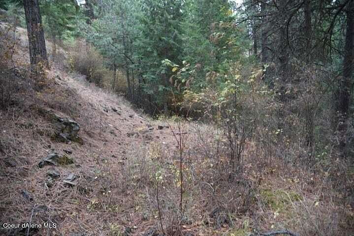 5 Acres of Residential Land for Sale in St. Maries, Idaho