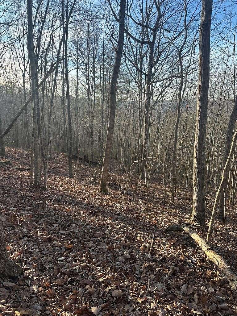 3.13 Acres of Land for Sale in Wilder, Tennessee