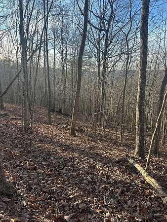 3.13 Acres of Land for Sale in Wilder, Tennessee