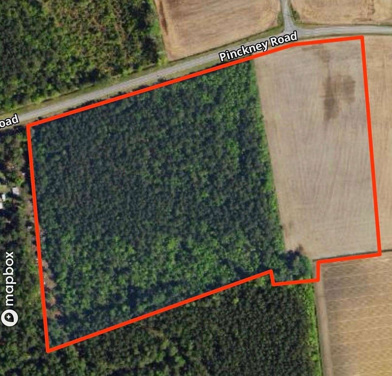 19 Acres of Land for Sale in Nichols, South Carolina