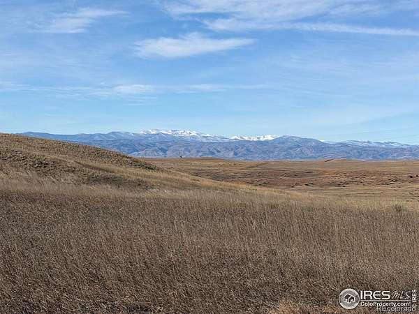 50.3 Acres of Land for Sale in Wellington, Colorado