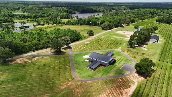65.4 Acres of Improved Land for Sale in Americus, Georgia