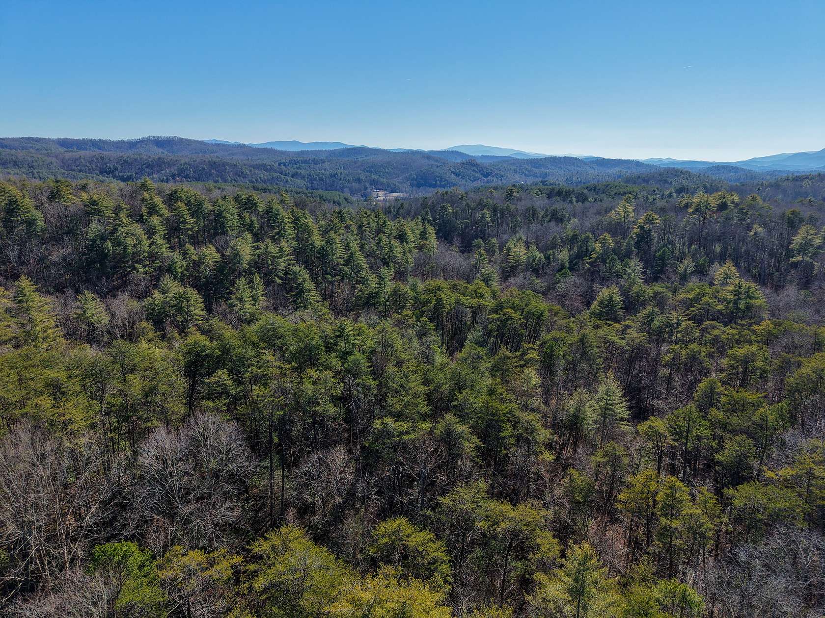 21 Acres of Land for Sale in Tellico Plains, Tennessee