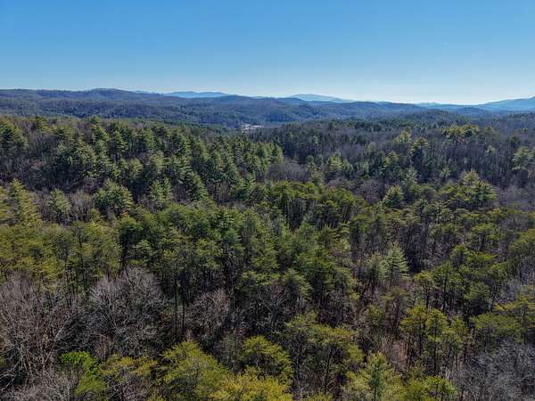 21 Acres of Land for Sale in Tellico Plains, Tennessee