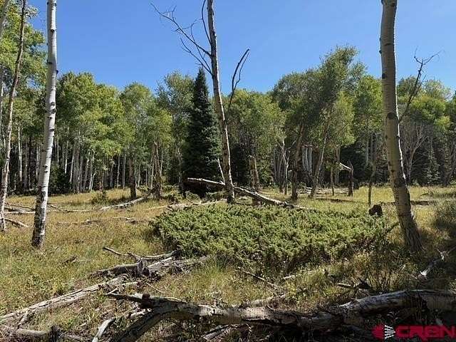 1 Acre of Land for Sale in Cimarron, Colorado