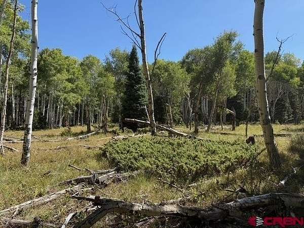 1 Acre of Residential Land for Sale in Cimarron, Colorado