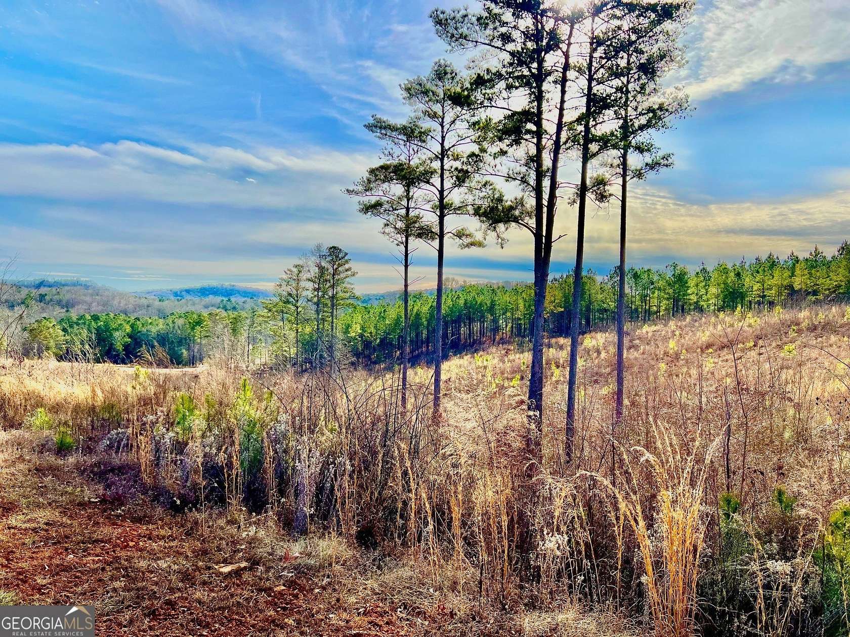 2 Acres of Residential Land for Sale in Talking Rock, Georgia