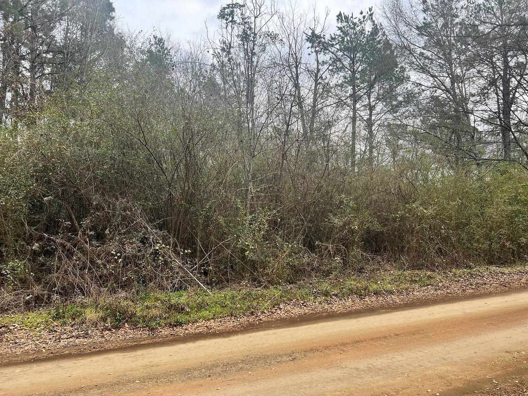 4 Acres of Residential Land for Sale in Center, Texas