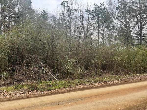 4 Acres of Residential Land for Sale in Center, Texas