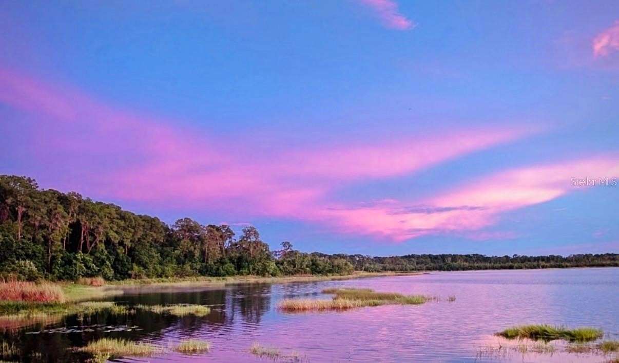 4.8 Acres of Residential Land for Sale in Orlando, Florida