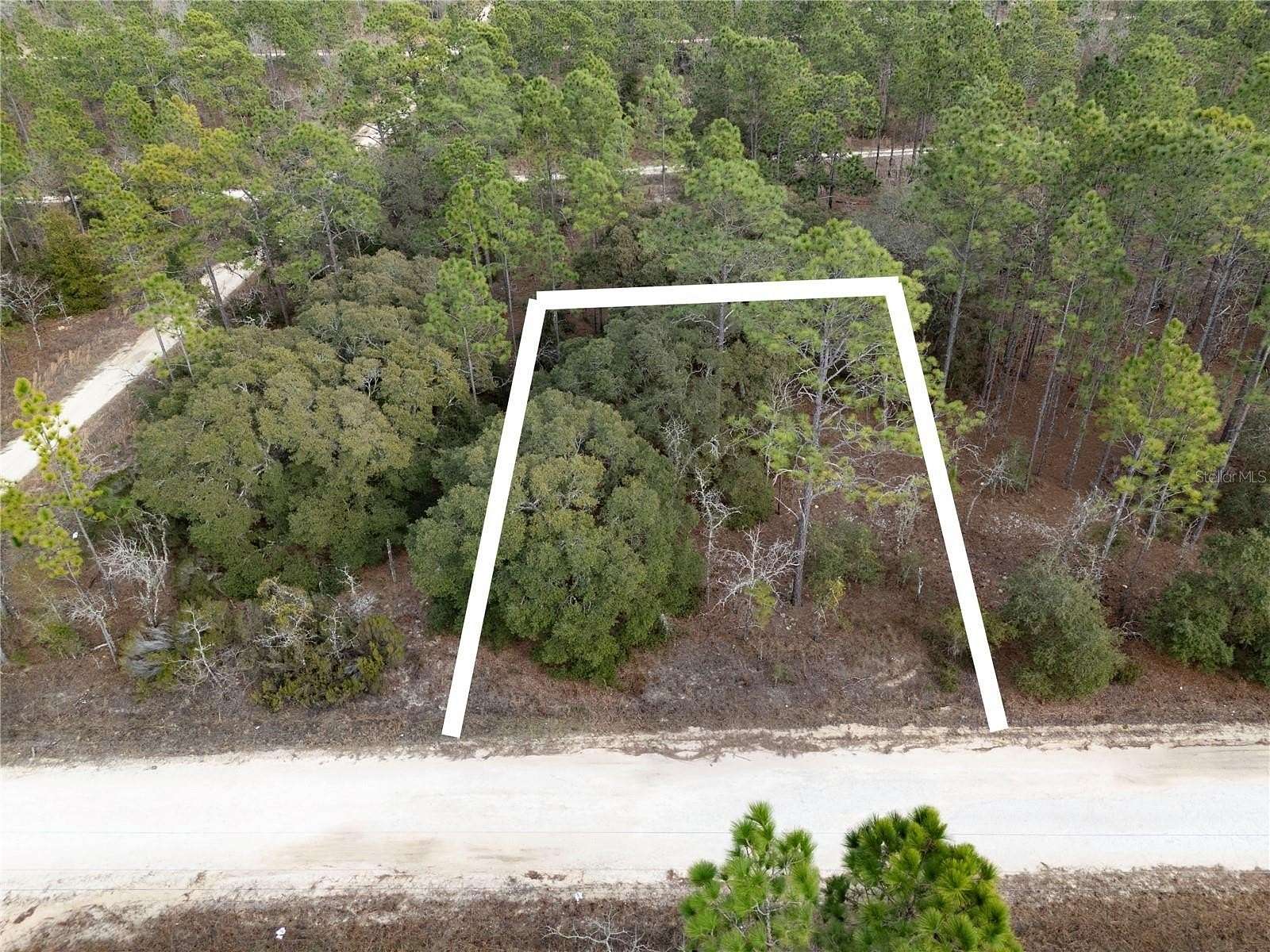 0.23 Acres of Residential Land for Sale in Williston, Florida