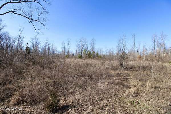 48.9 Acres of Recreational & Residential Land for Sale in Lexington, Tennessee
