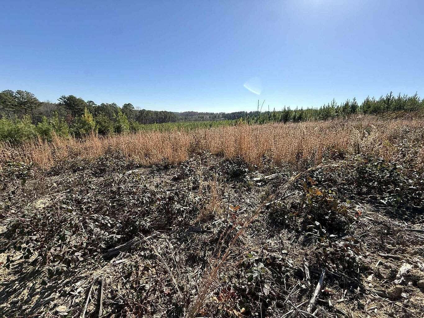 5 Acres of Residential Land for Sale in Dunlap, Tennessee